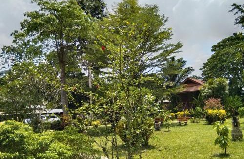 Khlong Sok Hotel | Khao Sok River & Jungle Resort