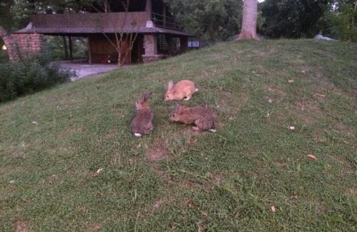 Fuli House | Kiln B&B