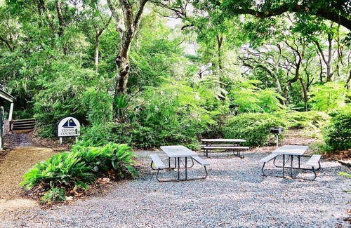 Fernandina Beach Condo | King Bed! Cozy Amelia Island Gem just steps to the beach.