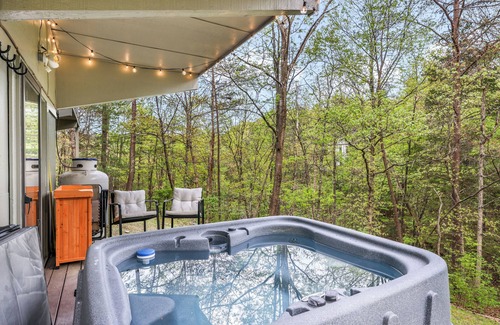 Lake Laura Ski Chalet | King St. Chalet Hot Tub Sauna Lake Access!