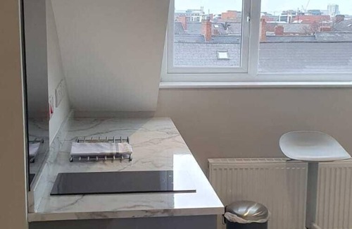 Belfast City Centre Apartment | King Suite Apartment with private bathroom