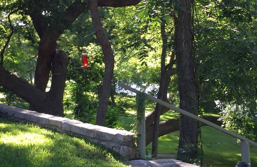 Hunt Cabin | Kipp Cottage - Private Guadalupe Riverfront - 2 Cottages - Sleeps 9