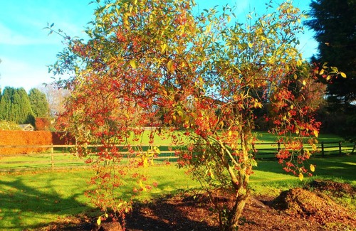 Torrington Bed & Breakfast | Kipps Farm