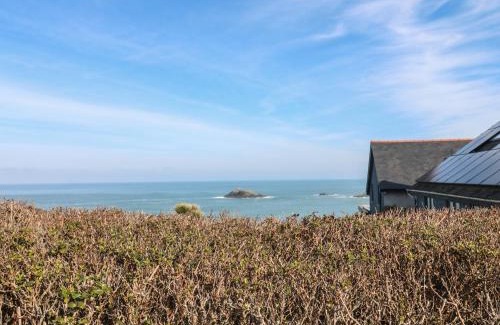 Newquay House | Kittiwake
