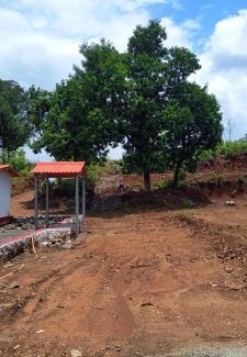 Murbad Other | Kittu's Farm