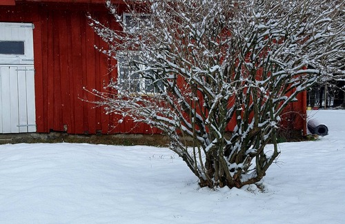 Fraena Other | Kjørsvik Øvre, flat in farmhouse with panoramic view to the sea and mountains.