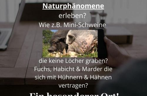 Braunfels Apartment | Kleine einzigartige Ferienwohnung auf dem Bauernhof, direkt in der Natur mit Blick auf Schloss Braunfels