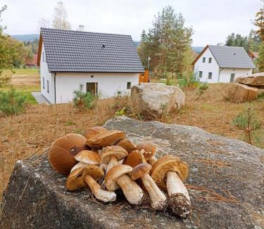 Cimer House | Klidná lokalita Na kraji lesa, celý dům s úschovnu kol