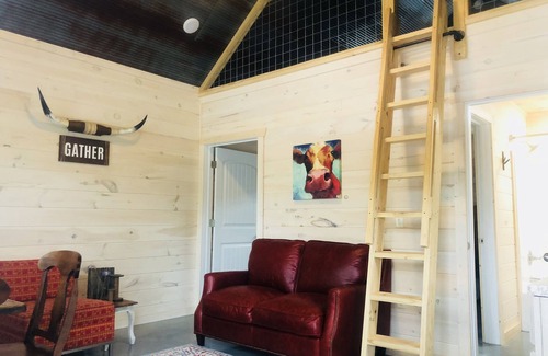 Mountain View Cabin | Knotty Squirrel Unit 1 King Suite with ladder loft