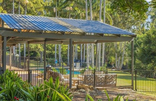 Port Macquarie House | Koalas at Links Lighthouse Beach