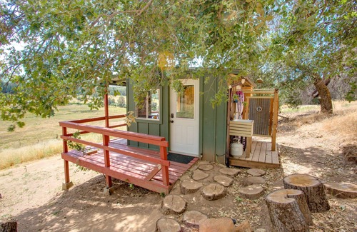 Julian Cabin | Komorebi The deer shed