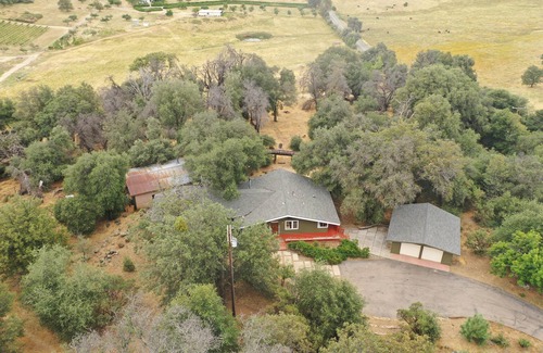 Julian Cabin | Komorebi The deer shed