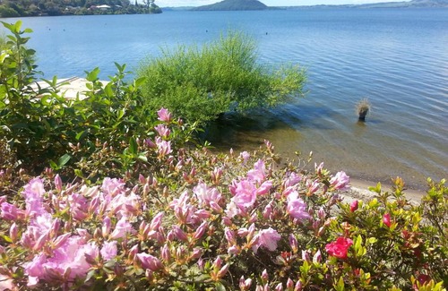 Kawaha Point Bed & Breakfast | Koutu Beach Bed and Breakfast