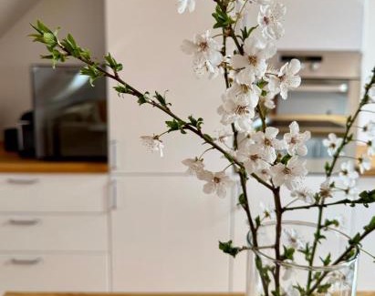 Modra Apartment | Kralova Apartment in Modra