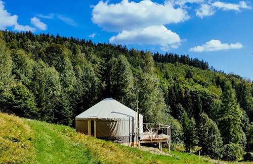 Kamienna Gora Other | Kryjówka - Jurty ukryte wśród zieleni