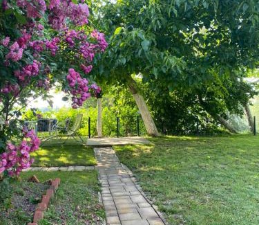 Banostor House | Kućerak kraj Dunava