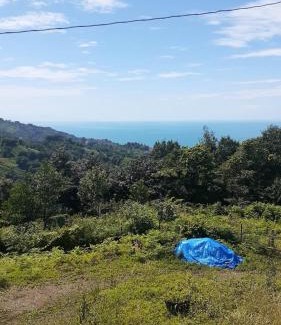 Pazar Apartment | KUZEY APART OTEL