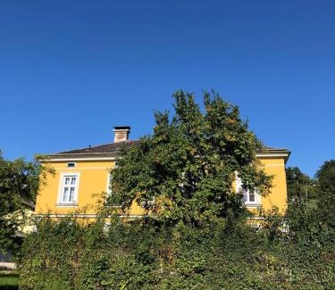 Scheibbs Apartment | Löwenzahn