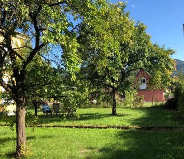 Scheibbs Apartment | Löwenzahn