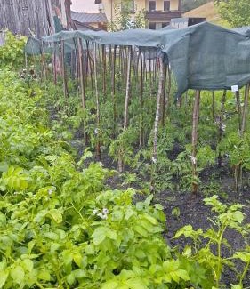 Scheibbs Apartment | Löwenzahn