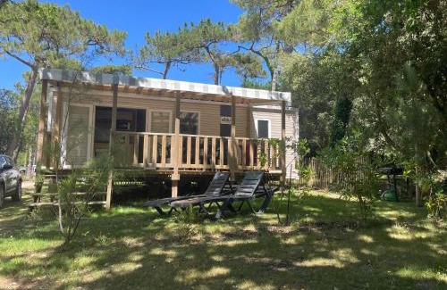 Piriac-sur-Mer Other | L'écureuil