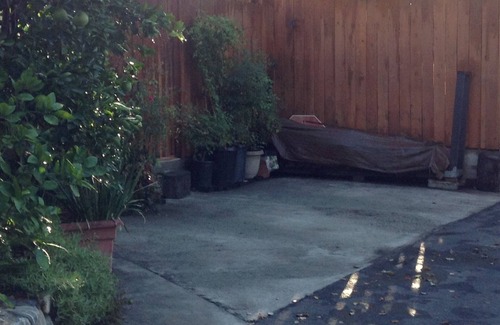Sierra Madre Cottage | L.A. & Pasadena just minutes away!