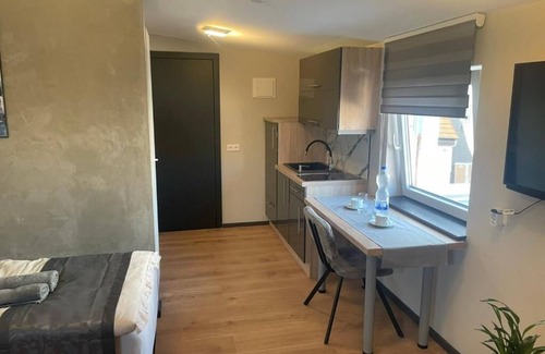Reilingen Condo | L'Imeri ResidencenComfortable apartment in Reilingen