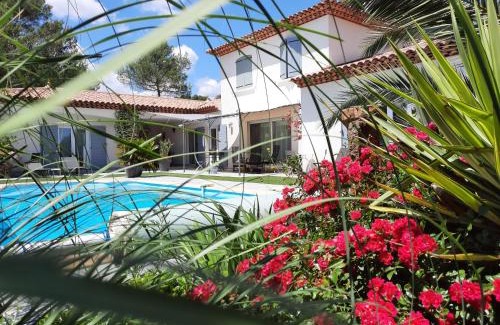 Trans-en-Provence Bed & Breakfast | L Olivadou B&B