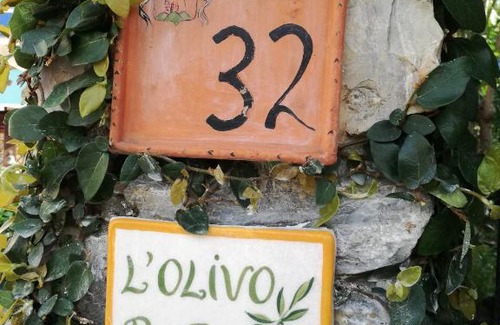 La Spezia Bed & Breakfast | L'Olivo B&B