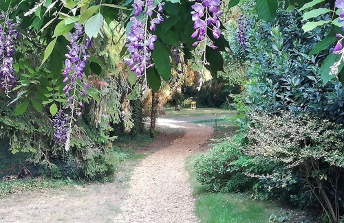 Bransles House | L'Orangerie du Moulin/Roulotte Jacinthe