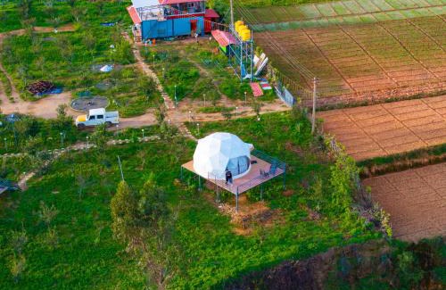 Kodaikanal Other | L.T NATURE GLAMPS