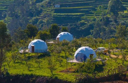 Kodaikanal Other | L.T NATURE GLAMPS