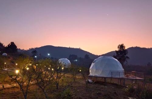 Kodaikanal Other | L.T NATURE GLAMPS