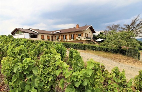 Villie-Morgon House | La Côte du Py - Villie Morgon