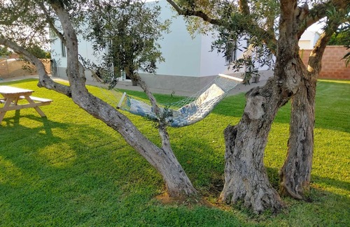 Conil de la Frontera Ski Chalet | La Caleta House. Beautiful garden with olive trees, drive minutes from the beach.