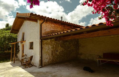 Isla House | La casa de los árboles