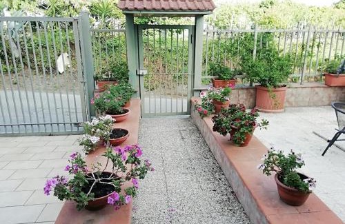 Mount Vesuvius - Pompei Apartment | La Casa nel Verde, tra mare e Vesuvio