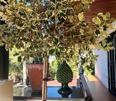 Torre del Greco House | La casetta bellevue suite