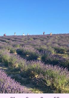 Santa Luce Apartment | La casina delle bimbe