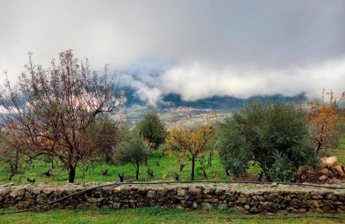 San Esteban Del Valle House | La Cirujana de Gredos