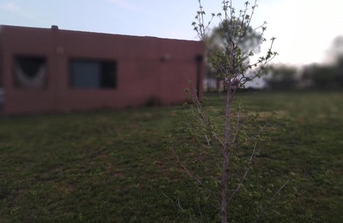 Tandil House | La Elenitaland