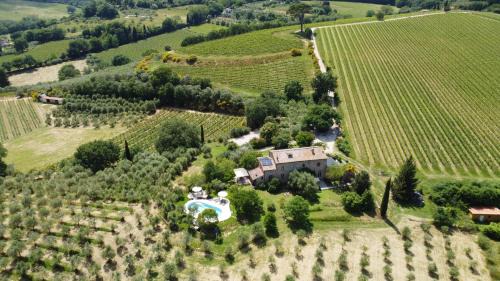 Montepulciano House | La Falconara