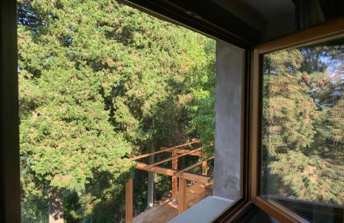 Dicomano Bed & Breakfast | La Felce e il Mirtillo