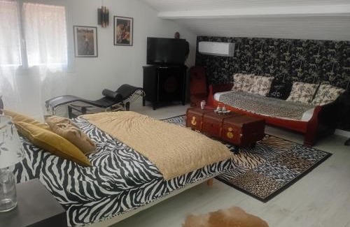 Saint-Peray House | La maison des pins