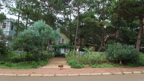 Kon Plong House | La Maison Homestay Măng Đen