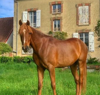 Dun-le-Palestel Bed & Breakfast | La Palude