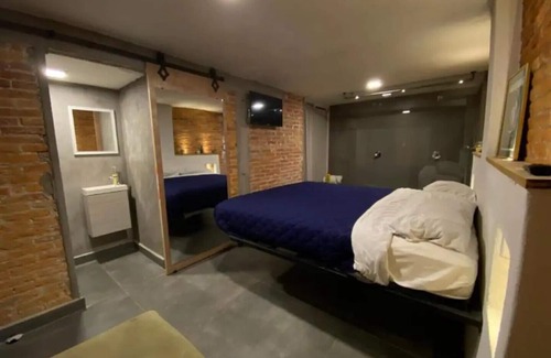 San Luis Potosi Apartment | La Petite Suite - Centro Historicó