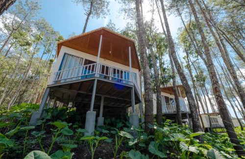 Kintamani Resort | La Pino Mount Batur and Hot Spring