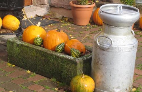 Sainte-Marie-aux-Mines House | La Pouponiere