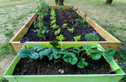 Neung-sur-Beuvron House | La roulotte